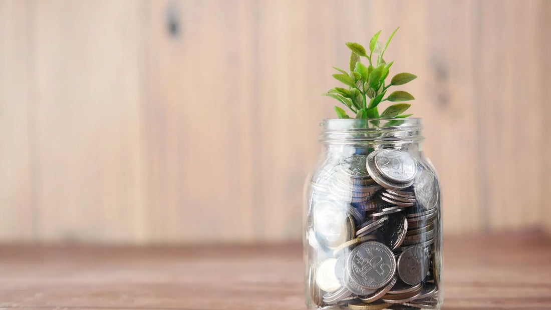 Glass jar of coins with a small green plant growing from the top