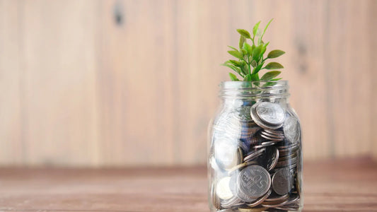 Glass jar of coins with a small green plant growing from the top